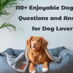Dog Trivia Questions and Answers